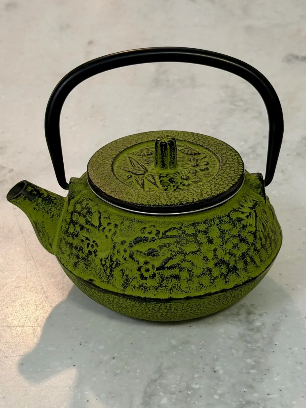Kyusu Cast Iron Tea Pot Creative Avacado Green Bamboo Design w/ Infusion Basket